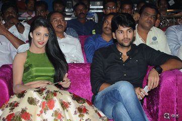 Hora Hori Movie Audio Launch